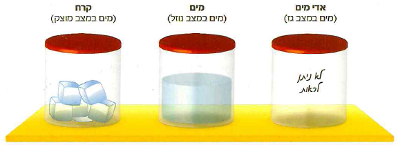 (בספר תמונה, היעזר במנחה)